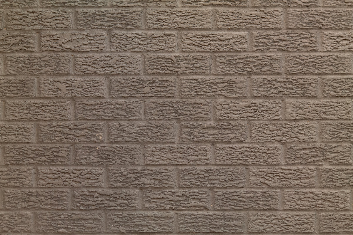 a black and white cat sitting in front of a brick wall