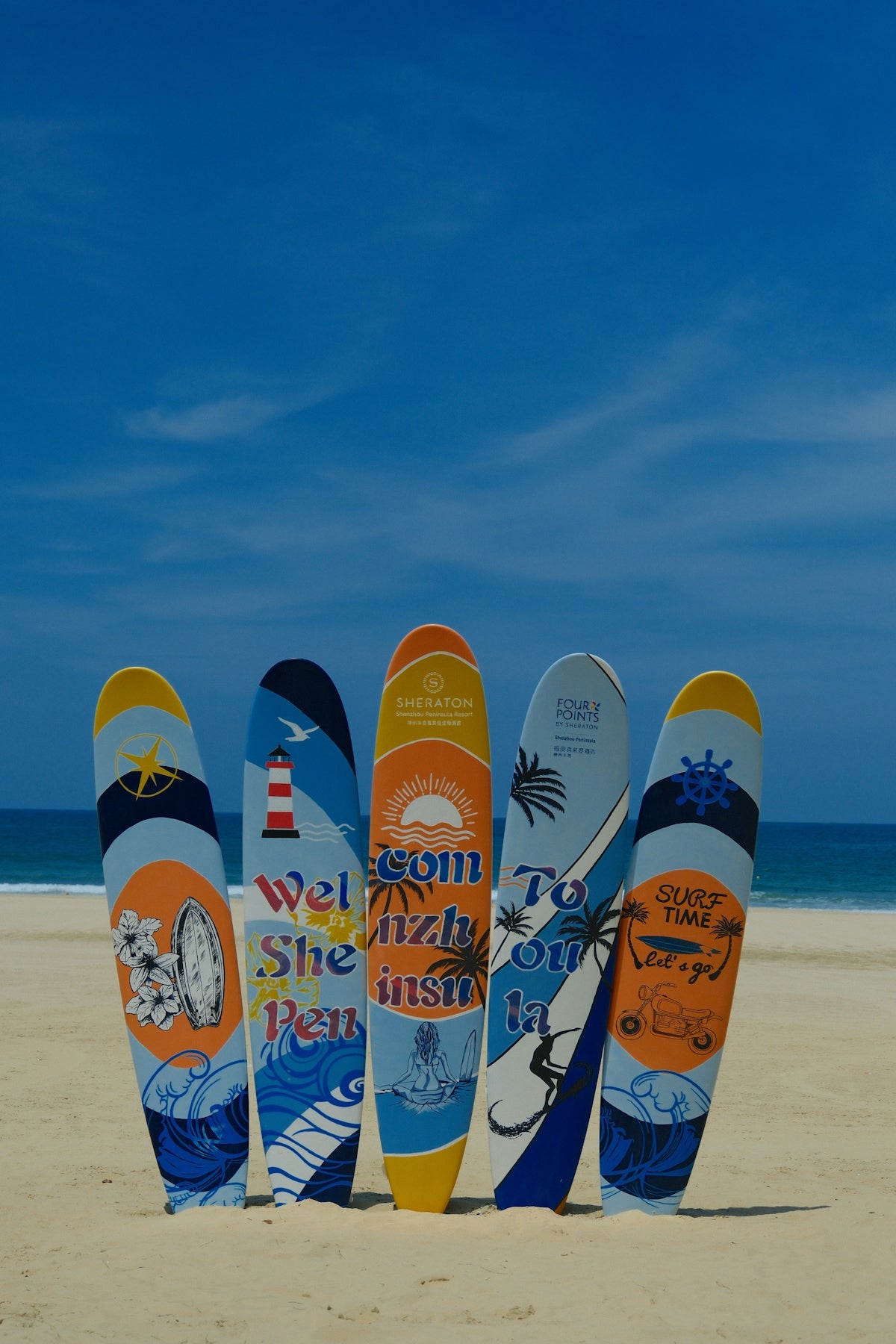 a row of surfboards sitting on top of a sandy beach