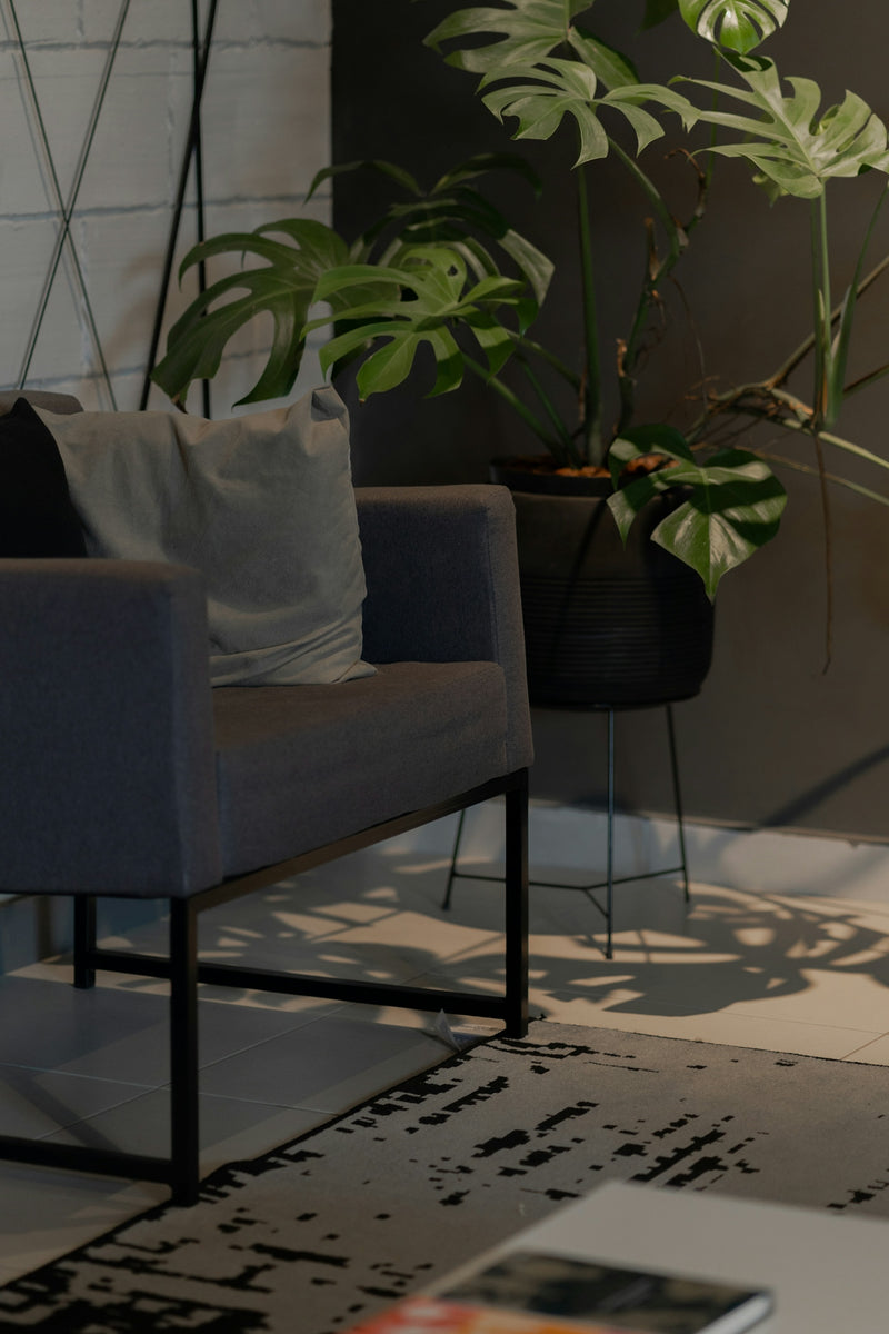 A living room with a couch, chair and a plant